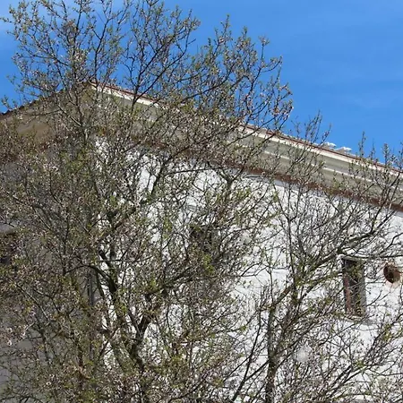 Guest house Palazzo 1892 *